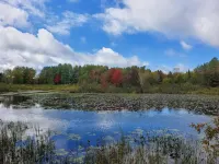 Newer Construction Cabin - Waterfront, Wooded, on Atv/Snowmobile Trails