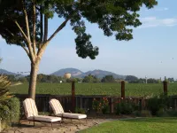 Midweek Special  360 Dollars Off 3 Nites Vineyard View  4 Bed/3 Bath W//Hot Tub