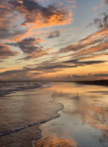 Home Near Sullivans Island, Old Village, Mt Pleasant, Beaches, 10 Min to Chs マウント・プレザントのホテル