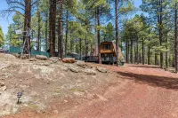 Cozy Cabin in the forest!  One hour drive to the Grand Canyon South Entrance!