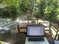 Posada de Don Alonso Hotels in Puerto Barrios