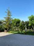 Cardinal Girolamo - Pet Friendly