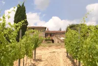 Cenerentola Apartments