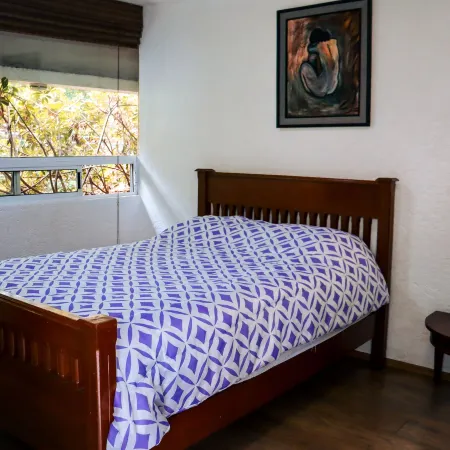 Hostal Cuija Coyoacan Berlin 268 Coyoacan