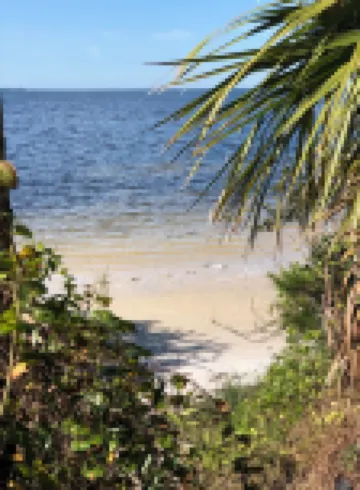 Tampa Heights Bungalow