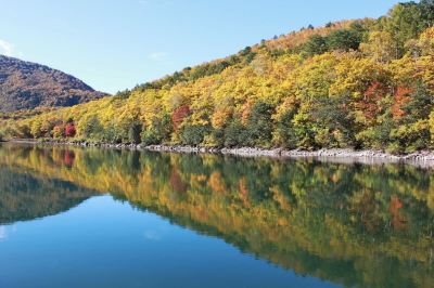 ホテル周辺 湯田中温泉 よろづやの写真