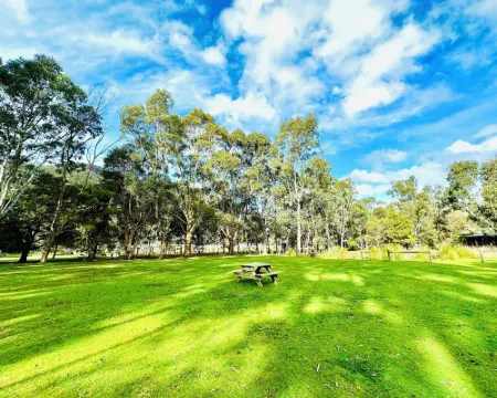 Grampians Chalets Hotels in Halls Gap