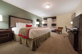 Ramada by Wyndham Houston InterContinental Airport East