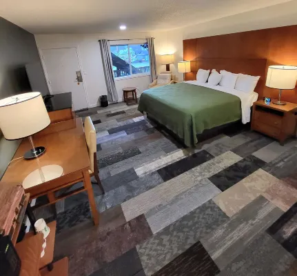 Shelton Inn Hotels in Kamilche
