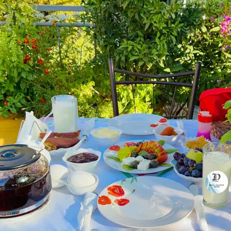 Denis Guest House