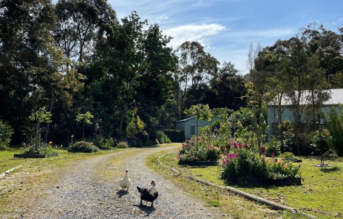 Tindoona Cottages