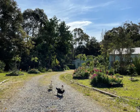 Tindoona Cottages Hotels in Foster