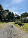 Tindoona Cottages - 4-Star