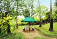 Jungle Paradise Farm & Guest House