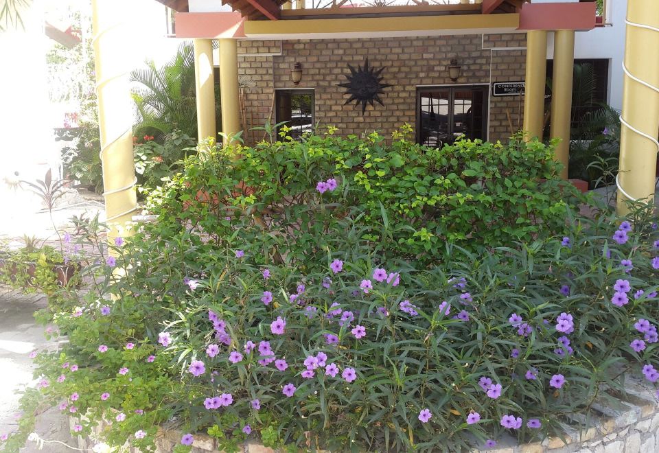 3. 아비타시옹 아트..