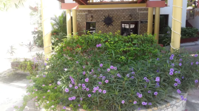 Habitation Hatt Hotel Отели рядом с достопримечательностью «Национальный дворец»