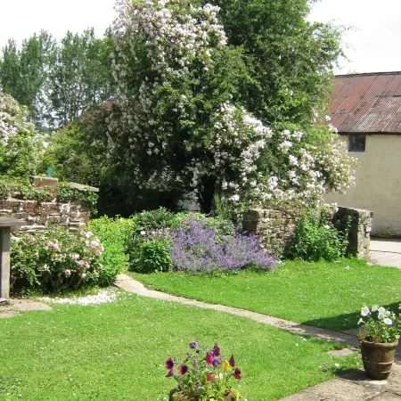Hollamoor Farm