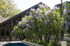 Hotel Bellaria