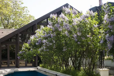 Hotel Bellaria Các khách sạn gần St. Sabbas the Sanctified