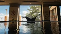 Airone Wellness Hotel - piscine