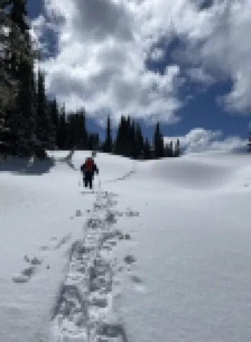 Cabin Vibes & Family Friendly w-Private Hot Tub Steps to Rainier