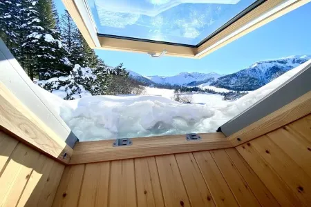 Chalet " LA JANELLE " Le Mont-Dore