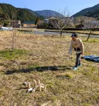 Inn Ajimu Hotels in Shizuoka