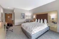 Best Western Plus Chickasha Inn