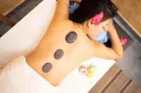 Bar Peepal Resort - Spa