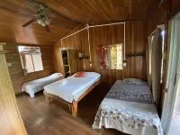 Birds & Breakfast Costa Rica - Bed and Breakfasts