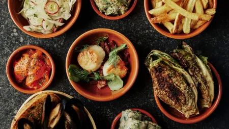 The Newbridge on Usk