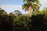 Lovely 1-Bed Cottage in St Catherine Jamaica - Wifi