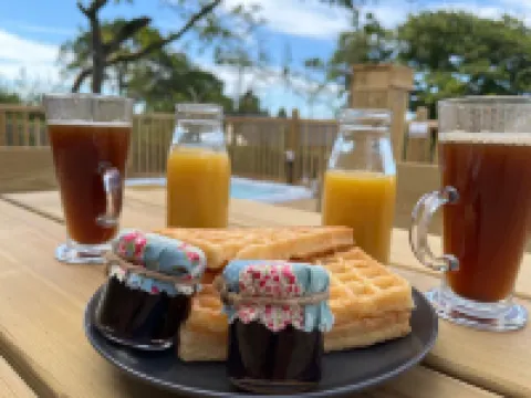 Aladdin Safari Tent Hotels in Carew