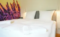 Altes Kelterhaus & Plein Hotel by Markus Plein Hotels in Wintrich