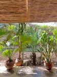 Umoja Guest House Hotels near ACT Ouaga