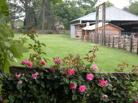 Seventy-Four Ranch Отели в г. Джаспер