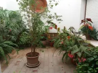 El Perro de Paterna Hotels in La Janda