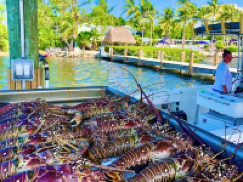 โคโคนัทปาล์ม อินน์ โรงแรมในTavernier