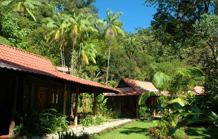 Esquinas Rainforest Lodge