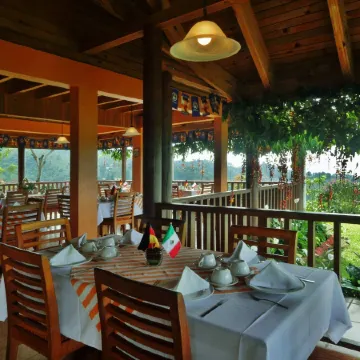 Finca Hamburgo la Ruta del Cafe