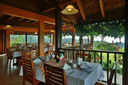 Finca Hamburgo la Ruta del Cafe