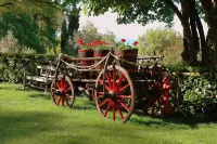 Agriturismo la Riserva di Montebello Hotels in Castel Giorgio