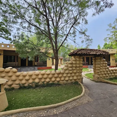 The Celebration Van Vilas