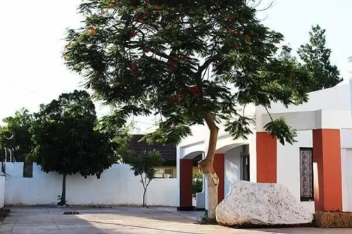 Vintage View Guest House - Bed and Breakfasts
