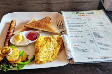 Hotel Forest Lake Backpackers' Hostel