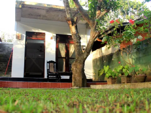 Lotus Villa Hotels in 