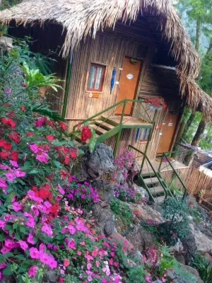 Green Hill Hostel & Tour Hotels in Ha Giang