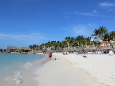 椰子酒店 棕櫚灘酒店