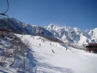 Hakuba Goryu Pension Kurumi - Guest houses