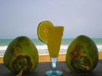 Hotel Village Vacances Awale Plage Hotel a Grand Popo